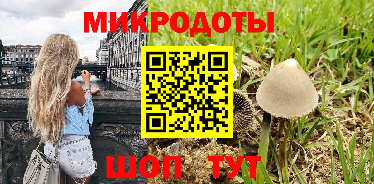 Кимовск  Галлюциногенные грибы мицелий  Вход с VPN 